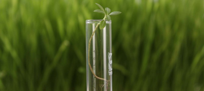 第7回「芸術の力」研究会